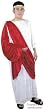 Adult Roman Caesar Costume (Size:Medium 40-42)