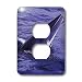 Kike Calvo Whales and Marine Mammals - Dwarf Minke Whale balaenoptera acutorostrata on surface, in Great Barrier Reef Queensland, Australia - Light Switch Covers - 2 plug outlet cover