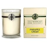 Archipelago Botanicals PINEAPPLE GINGER CANDLE 60 Hour Aromatherapy Home Fragrance Signature Series All Natural Hand Poured Premium Soy Wax Jar Candle W/ Deluxe Gift Box