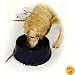 K&H Thermal Bowl (Assorted Colors), 96 Ounce