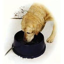 K&H 96-Ounce Thermal-Bowl Outdoor Pet Feeder, Blue
