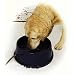K&H 96-Ounce Thermal-Bowl Outdoor Pet Feeder, Blue