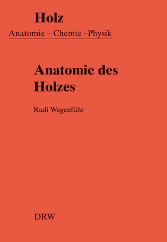 Anatomie des Holzes