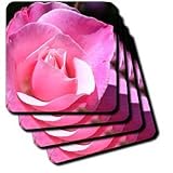 beautiful pink rose - Set Of 4 Ceramic Tile Coasters