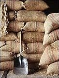 Organic French Roast - Whole Bean Coffee - 5lb, Caffeinated