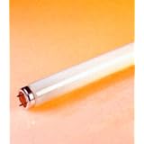 40-watt 5000K T12 fluorescent bulb