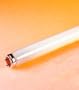 32 Watt Full Spectrum Fluorescent Light Bulb / 4' Length, 1" (T8) Diameter / 5000K Color Temperature / F32T8 Full Spectrum