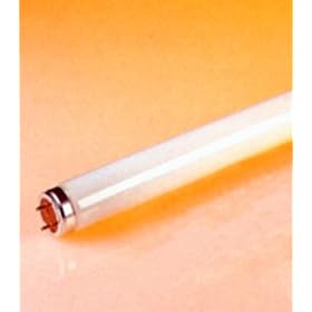 32 Watt Full Spectrum Fluorescent Light Bulb 4' Length, 1 (T8) Diameter 5000K Color... by Sli Lighting