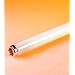 32 Watt Full Spectrum Fluorescent Light Bulb / 4' Length, 1" (T8) Diameter / 5000K Color Temperature / F32T8 Full Spectrum