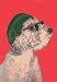 Dog with Glasses and Hat - 20x30 Gallery Wrapped Canvas Print