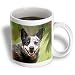 Australian Cattle Dog - 15oz Mug
