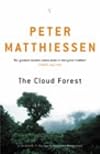The Cloud Forest