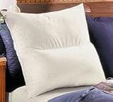 Review Bean Products  / Reading In Bed Pillow