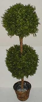 55" OUTDOOR Boxwood Double Ball Topiary Tree
