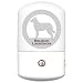 Belgian Laekenois LED Night Light