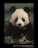Giant Panda Feeding on Bamboo, Art Poster by Gerry Ellis