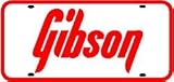 GIBSON LICENSE PLATE instrument sound sign