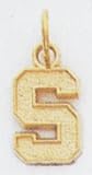 Michigan State University Letters Charm - XC654