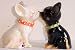 Price Comparison : Chihuahua Salt & Pepper Shaker Set