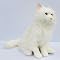 �f�W�^���y�b�g