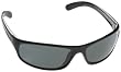 Anaconda Snakes Sport Sunglasses with Shiny Black Frame and Polarized TNS Lens from Bolle