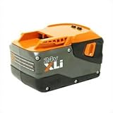 RIDGID 130377001 24-Volt Li-Ion Battery