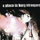 A Place to Bury Strangers [VINYL]