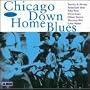 Chicago Down Home Blues, Vol. 1 "featuring" Johnny Young, Johnny Williams, Sunnyland Slim, Floyd Jones, Man Young, St. Louis Jimmy Oden, Little Walter, Blues Boy Willie, Delta Joe Sanders