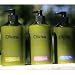 Olivina Hand & Body Lotion - Classic Olive - 16 oz.