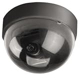  : Digital Peripheral Solutions QPDCDB B/W Video CCD Camera