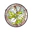 Meyda Tiffany 20955 Calla Lily Medallion Window