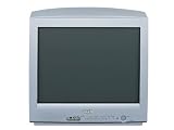 SANYO C-21B80(S) ���顼�ƥ�� (��)