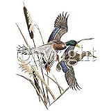 Mallard Ducks Womens T-Shirt Dress