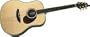 AD20/SR Plus Acoustic Guitar