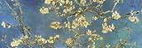 Almond Branches in Bloom, San Remy, c.1890 Art Poster Print by Vincent van Gogh, 38x13