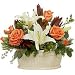 Lilies - Amazing Grace