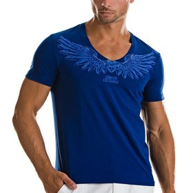 Wings V-Neck T-Shirt