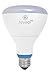 GE Lighting 92470 Reveal LED 10-Watt (65-Watt Replacement), 650-Lumen R30 Bulb with Medium Base, 3-Pack