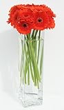 Gerbera Stix and Stems Comes with a Dozen Beautiful Orange Mini Gerbera Daisies with an 18' T X 4 Square Glass Vase and River Rocks. Comes with It's Own Measuring Stick to Cut Each Gerbera a Perfect Length for the Vase.
