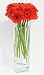 Gerbera Stix and Stems Comes with a Dozen Beautiful Orange Mini Gerbera Daisies with an 18' T X 4