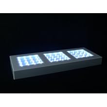 Fortune Products LB-513w Rectangle Light Base with White LED's, 13" Length x 5" Width x 1-1/4" Height