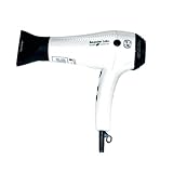 T3 Bespoke Labs 83888-SE Special Edition Evolution Professional Ionic Ceramic Tourmaline Hair Dryer