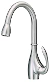 Danze D404546SS Bellefleur Single Handle Pull-Down Kitchen Faucet, Stainless Steel