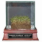 Steiner Sports NY Yankee Stadium Authentic Grass in Commemorative Glass Case, 1 ea
