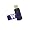 Washington Huskies