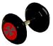 Do you like the look of a big plug but don't feel too comfortable putting a half inch hole in your ear. Then this is the earing for you. The barbell will fit in any standard sized ear piercing and it will fit flush against your ear to look like a real plug. On each side of the ear plug there's a picture of a Maltese cross.
