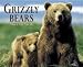 Book Grizzly Bears 2006 Calendar