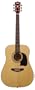 Washburn Acoustic Guitar Pack