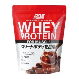 DNS ACTIVE ホエイプロテイン チョコレート風味 800g