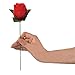 Stage Property Performance Show Magic Trick Fire To Red Rose Flower Lover's Gift